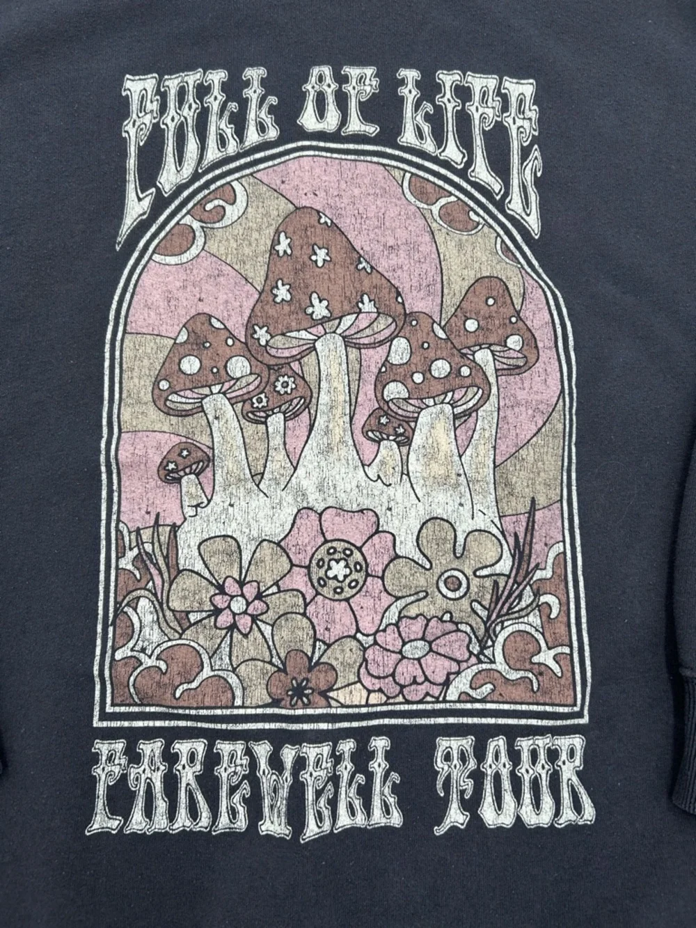 Hollister Black Crewneck Sweater with Pink & Cream Mushroom Graphic XL